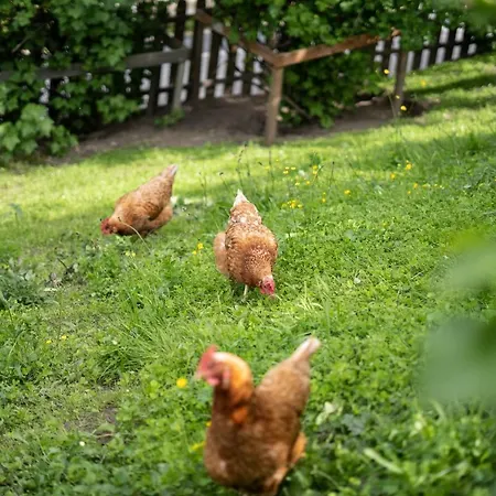 Haus Alpenblick Sankt Margarethen im Lungau